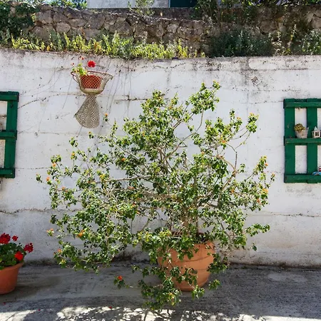 By The Sea Tisno, Murter - 815 Apartman Tisno